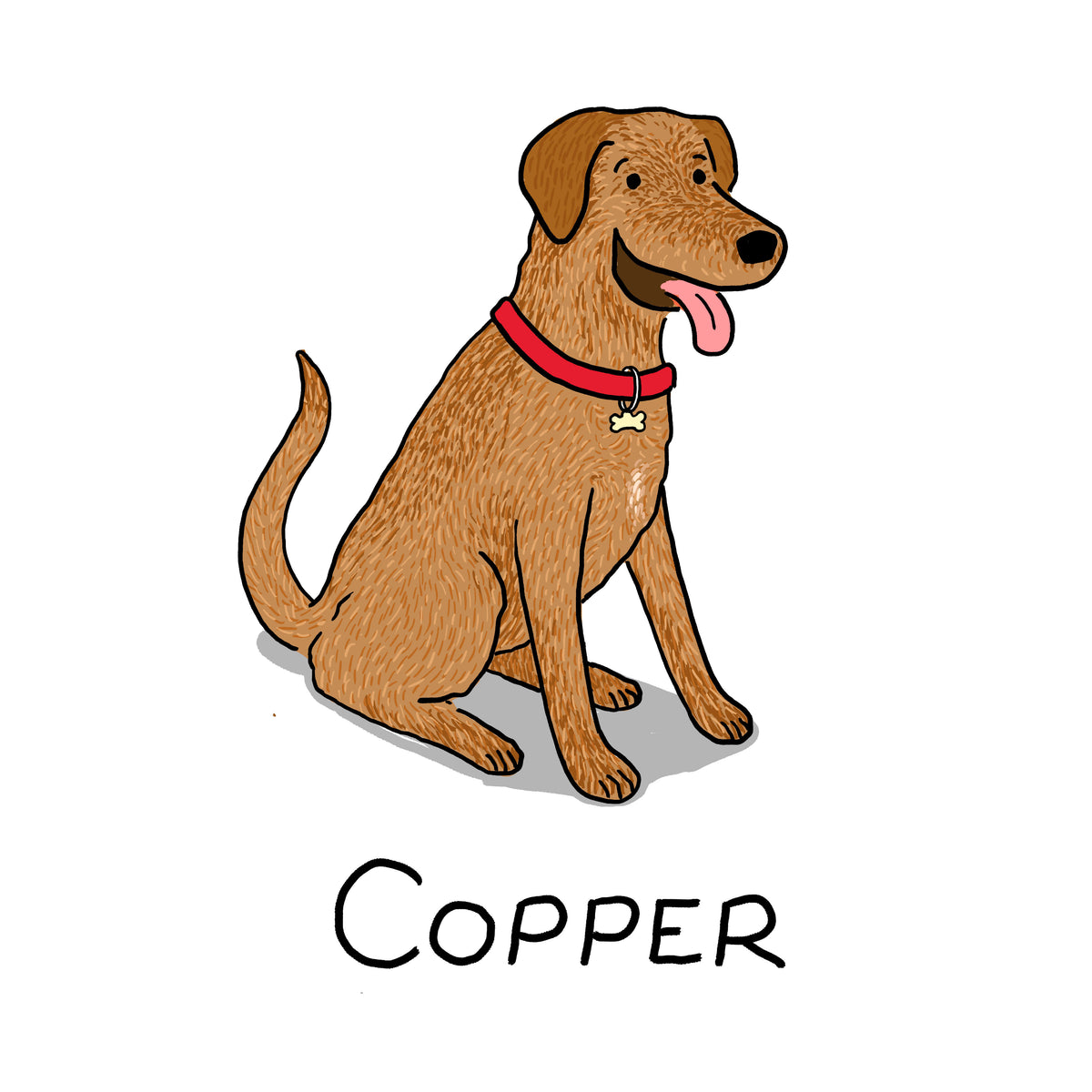 Pet Portraits!