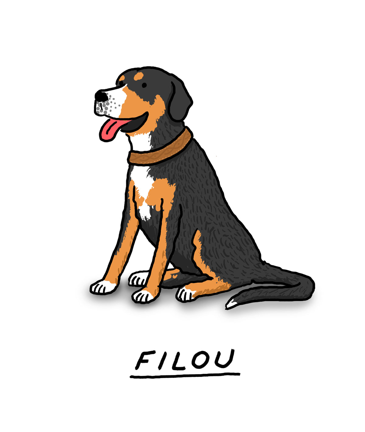 Pet Portraits!